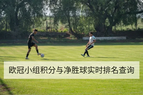 欧冠小组积分与净胜球实时排名查询