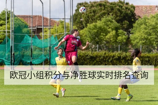 欧冠小组积分与净胜球实时排名查询